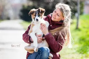 Hundetrainer dresden Nancy wendler