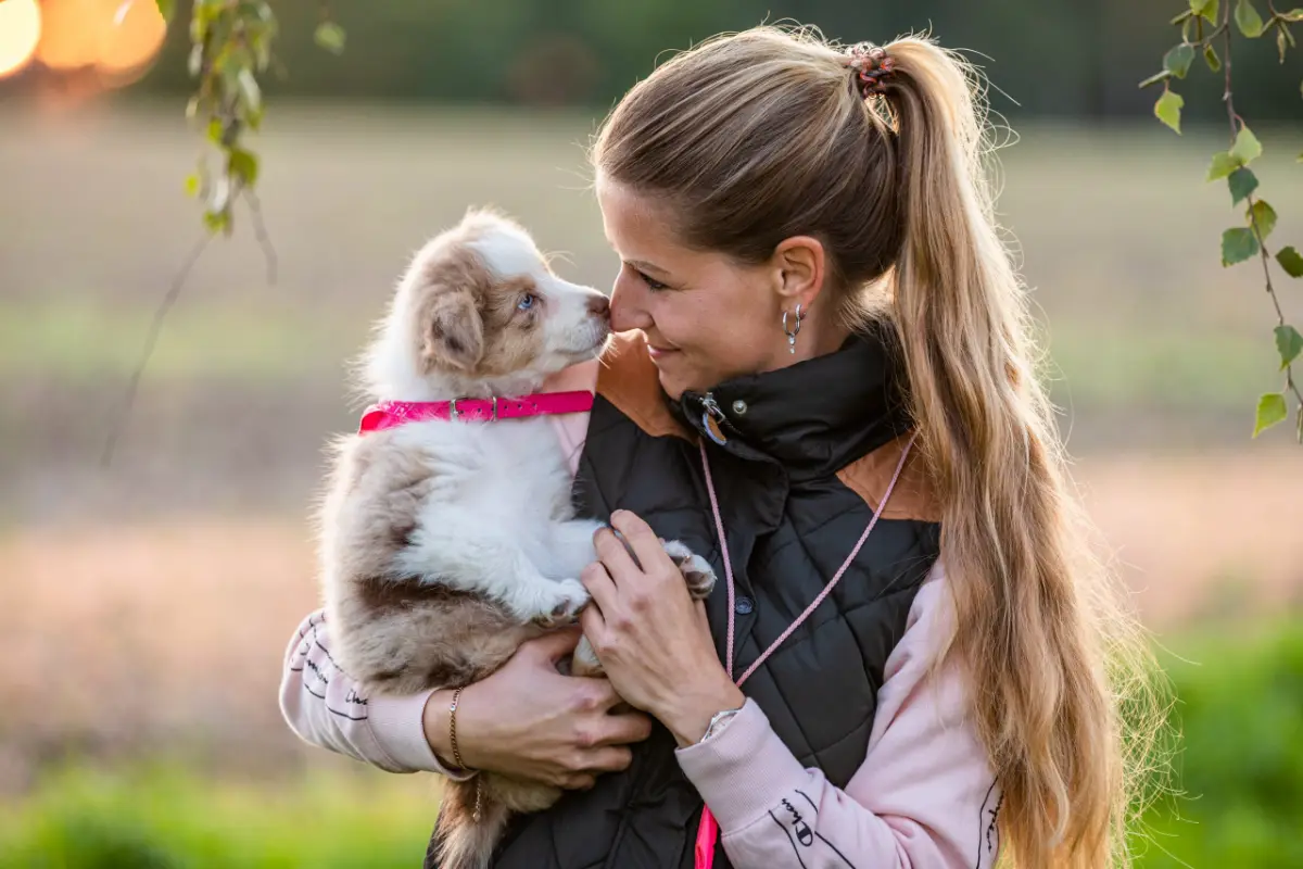 Hundetrainer dresden